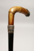 A VICTORIAN RHINO HANDLE WALKING STICK with silver band Birmingham 1897