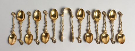 A GOOD SET OF TWELVE SILVER GILT TEA SPOONS with snake handles, and matching sugar nips. London