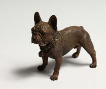A BRONZE FRENCH BULLDOG