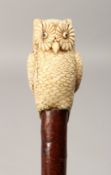 A VERY GOOD 19TH CENTURY CARVED IVORY OWL, RUSTIC WALKING CANE 3ft long.