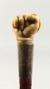 A GOOD VICTORIAN CARVED IVORY CLENCHED FIST HANDLE WALKING STICK with silver band.