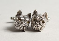 A PAIR OF SILVER BULL DOG CUFF LINKS