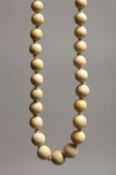 A GRADUATED IVORY BEAD NECKLACE of sixty one beads. 19ins long