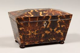 A REGENCY STYLE FAUX TORTOISESHELL TWO DIVISION TEA CADDY on wooden bun feet. 10.5ins long