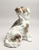 A SUPERB 19TH CENTURY MEISSEN FIGURE OF A DOG scratching his chin Cross swords mark in blue, incised