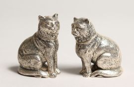 A PAIR OF STERLING SILVER CAT SALT AND PEPPERS.