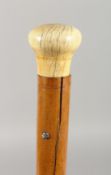 A VICTORIAN IVORY HANDLE WALKING CANE