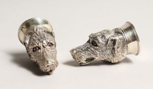 A PAIR OF STERLING CAST SILVER HUNTING DOG SALT AND PEPPER.
