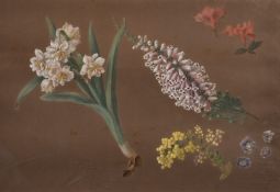 19th Century English School, A study of mixed botanicals, watercolour, 11
