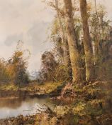 20th Century European School, A wooded landscape with mountains beyond, oil on canvas,