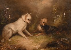 Attributed to George Armfield (1808-1893) British, Two terriers in a landscape, oil on canvas,