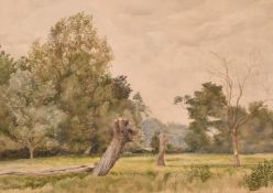 Norwich School 19th Century, Trees in a landscape, inscribed 'Thorpe Norwich' on the backing
