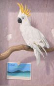 Brian McCarthy (b. 1960) Irish, 'Blue Lagoon', A yellow crested cockatoo perched on a branch, oil on