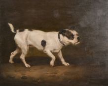 J. Volmar (1796-1865) Swiss, Study of a Terrier in a landscape, with the name 'Fury' on dog's