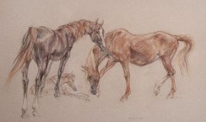Leslie Charlotte Benenson (b. 1941) British, A pair of pastel studies of horses, each signed and