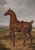 20th Century, A saddled horse in an open landscape, oil on panel, signed C. Harrison, 7