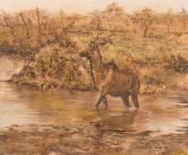 Nick Beresford-Davies, 'Kudu' in a river, oil on canvas, signed and dated '90, 19.75