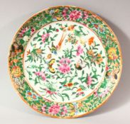 A CHINESE CANTON PORCELAIN DISH, decorated with butterflies and flowers, 21cm diameter.