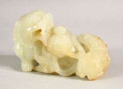 A GOOD CHINESE CARVED JADE FIGURE OF TWO DOGS OF FO, 9cm long.