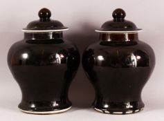 A PAIR OF CHINESE FAMILLE NOIR PORCELAIN GINGER JARS & COVERS, 30cm