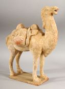 A CHINESE TANG STYLE TERRACOTTA MODEL OF A CAMEL, 30cm high, 23cm long.