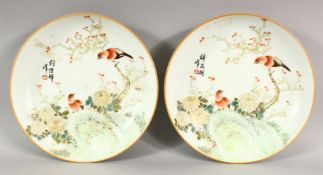 A VERY GOOD PAIR OF REPUBLIC CIRCULAR DISHES, painted with birds, chrysanthemums and calligraphy,