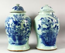 A LARGE PAIR OF CHINESE CELADON GLAZED POTTERY JARS AND COVERS, the jars painted with birds