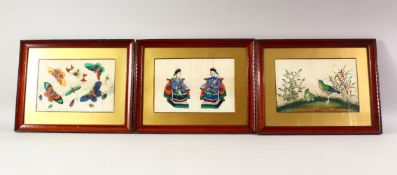 THREE CHINESE PAINTINGS ON RICE PAPER, one depicting butterflies, another depicting birds and native