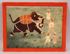 A FINE 19TH CENTURY LARGE INDIAN MINIATURE PAINTING OF MEN FIGHTING AN ELEPHANT, unframed, 33.5cm