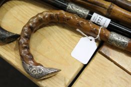 A silver mounted walking stick.