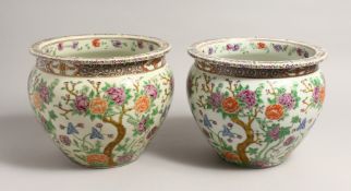 A PAIR OF JAPANESE DESIGN CIRCULAR JARDINIERE painted with flowers 8ins high.