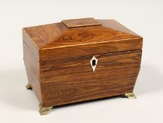 A REGENCY ROSEWOOD DOMED TOP TWO DIVISION TEA CADDY with iron escutcheon on brass bracket feet. 7.