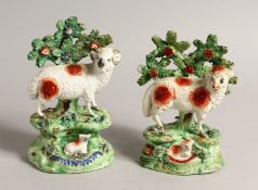 A PAIR OF STAFFORDSHIRE BOCAGE GROUP OF SHEEP AND LAMBS with Bocage backs. 6ins high.