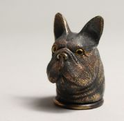 A BRASS NOVELTY FRENCH BULLDOG VESTA