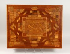 H. C. OSBORNE, AUCKLAND, NEW ZEALAND. A GOOD THYAWOOD VELVET LINED BOX with folding lid. The lid