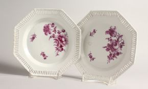 A PAIR OF 19TH CENTURY BERLIN OCTAGONAL PLATES with painted borders and flowers. septre mark in blue