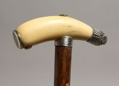 A GOOD 19TH CENTURY BONE, SILVER MOUNTED, TOOTH HANDLE WALKING STICK. London 1886, 33ins long