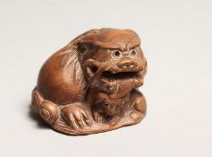A JAPANESE CARVED WOOD DOG OF FOE NETSUKE