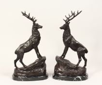 AFTER MOIGNER (1835 - 1894) A PAIR OF BRONZE STAGS, standing on a rocky outcrop, mounted on a marble