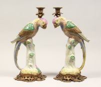 A PAIR OF DECORATIVE PORCELAIN AND ORMOLU CANDLESTICKS, modelled as parrots on tree stumps 16ins