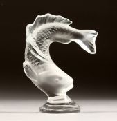 A LALIQUE GLASS SALMON, engraved Lalique, France, in a fitted box. 3.25ins high