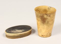 TWO OLD HORN PIECES.