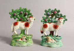 A PAIR OF STAFFORDSHIRE BOCAGE GROUP OF SHEEP with lambs, with bocage backs