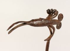 A TRIBAL WROUGHT IRON CURRENCY STAFF / SPIKE 14ins long