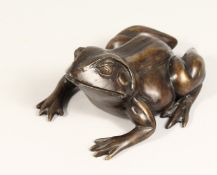 A GOOD HEAVY BRONZE FROG 8ins long