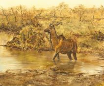 Nick Beresford-Davies (20th Century) 'Kudu' in a river, oil on canvas, signed and dated '90, 19.