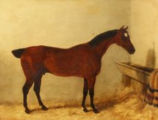 19th Century English School, A chestnut horse in a stable, oil on panel, 14
