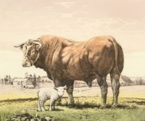 Simon Bull, 'Friesian Bull', etching, inscribed, signed in pencil and numbered 107/200, 10.5