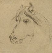 19th Century School, A pencil sketch of a horse's head, indistinctly signed, 4.5