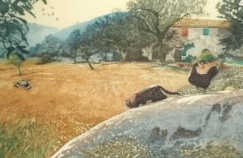 Robert Greenhalf, 'Hoopoe' colour etching, inscribed signed in pencil, and numbered 7/150, 13